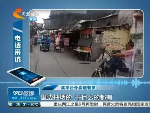 石家庄吃外卖爆料视频,揭秘隐藏在屏幕后的美食真相 第3张 石家庄吃外卖爆料视频,揭秘隐藏在屏幕后的美食真相 第3张